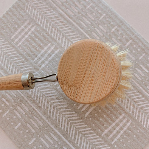 Case Agave Bamboo Dish Brush - Long Handle