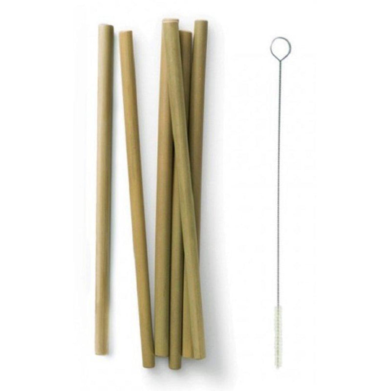 Bamboo Straws - Set of 6