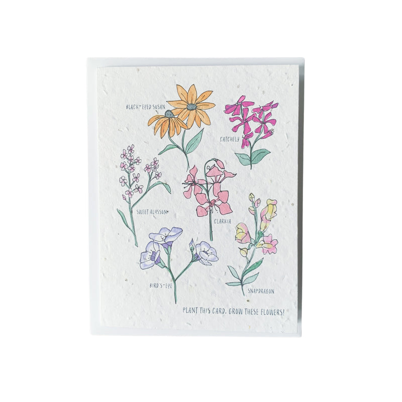 Wildflowers - Wildflower Seed Card 